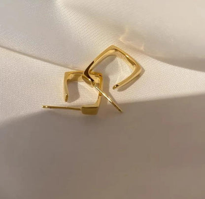 Statement Gold plate Earrings